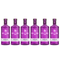 Whitley Neill Rhubarb and Ginger Gin CASE 6X70CL